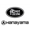 Hanayama Cast Puzzle